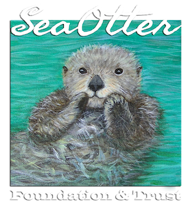 Sea Otter Foundation Trust