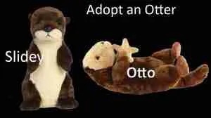otto slidey adopt an otter for facts page