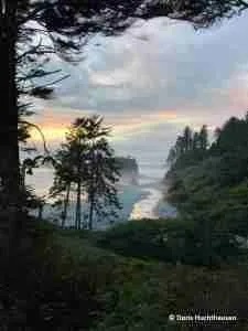 Olympic National Park