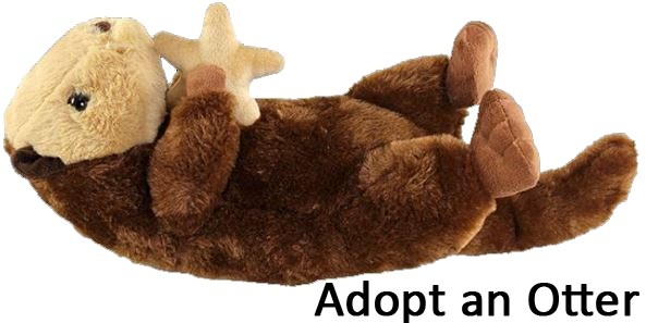 adopt an otter