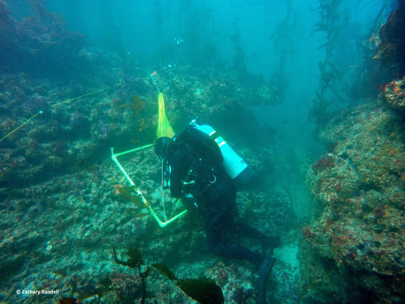 marine biology careers